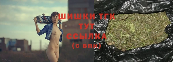 индика Сосновый Бор