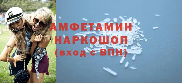 индика Сосновый Бор