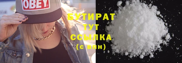 индика Сосновый Бор