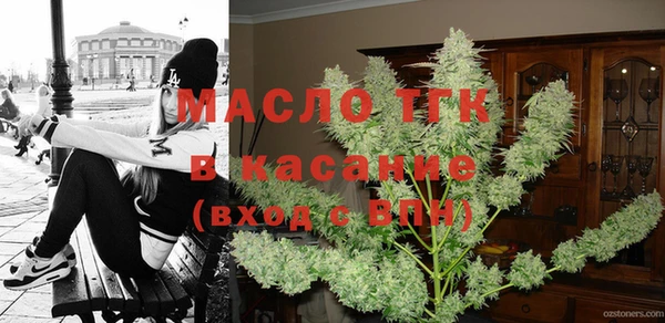 индика Сосновый Бор