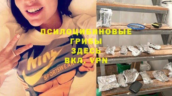 индика Сосновый Бор