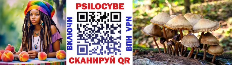 Псилоцибиновые грибы GOLDEN TEACHER  shop как зайти  Шлиссельбург  купить  цена 